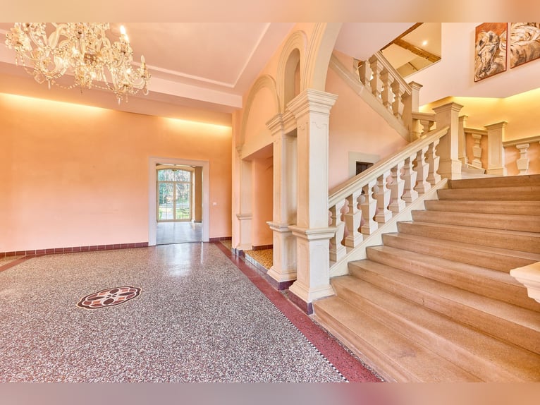 Historic watermill castle with well-maintained equestrian facilities in Rheinhessen!