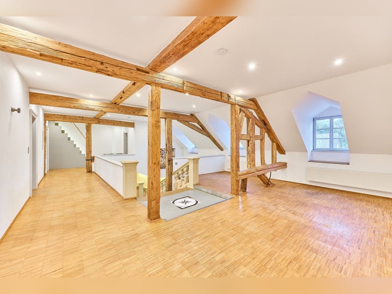 Historic watermill castle with well-maintained equestrian facilities in Rheinhessen!