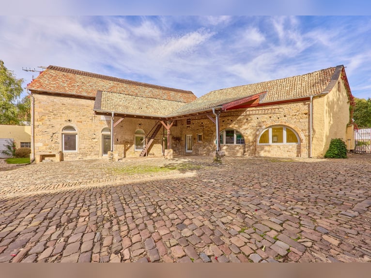 Historic watermill castle with well-maintained equestrian facilities in Rheinhessen!
