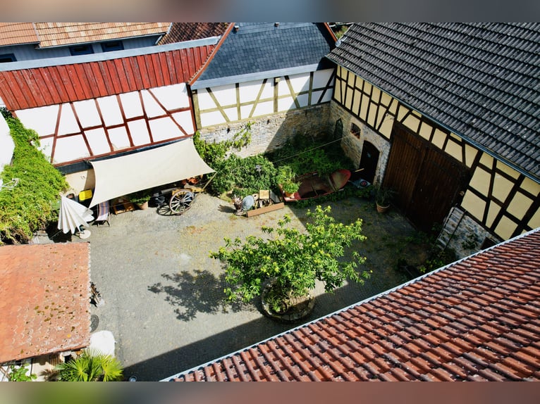 Historischer Hof mit viel Charme und Ambiente - 2 Wohneinheiten und Pferdehaltung