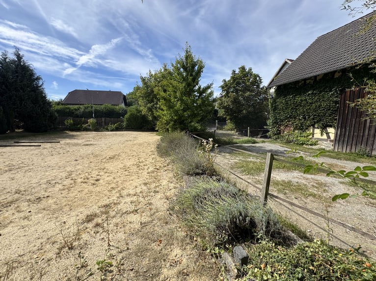 Historischer Hof mit viel Charme und Ambiente - 2 Wohneinheiten und Pferdehaltung