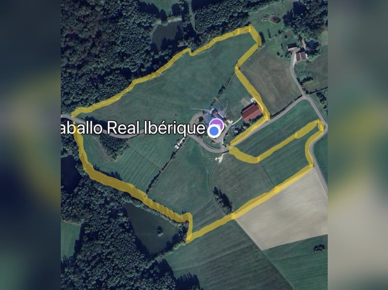 Historischer paradiesischer Pferdehof 40 Min. von der Schweiz 