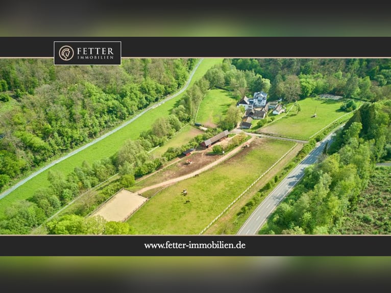 Historisches Mühlenanwesen mit Hotelbetrieb, Pferdepension und Entwicklungspotenzial im Hochtaunus!