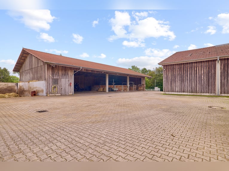 Hochwertige Reitanlage in Nieder-Moos mit optimalen Trainingsbedingungen in See-Nähe!