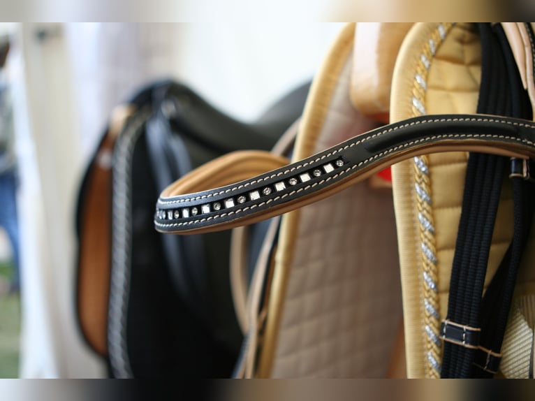 Hochwertige Reitsportanlage in Rheinhessen – Großer Sport! V14310