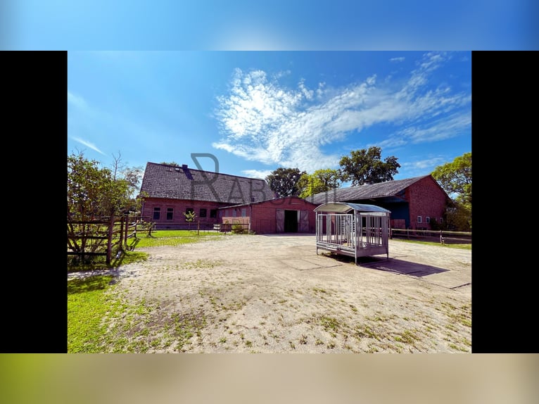 Hofensemble mit ausgebauter Tenne und 1,6ha Land direkt am Haus! Genehmigte Pferdehaltung!