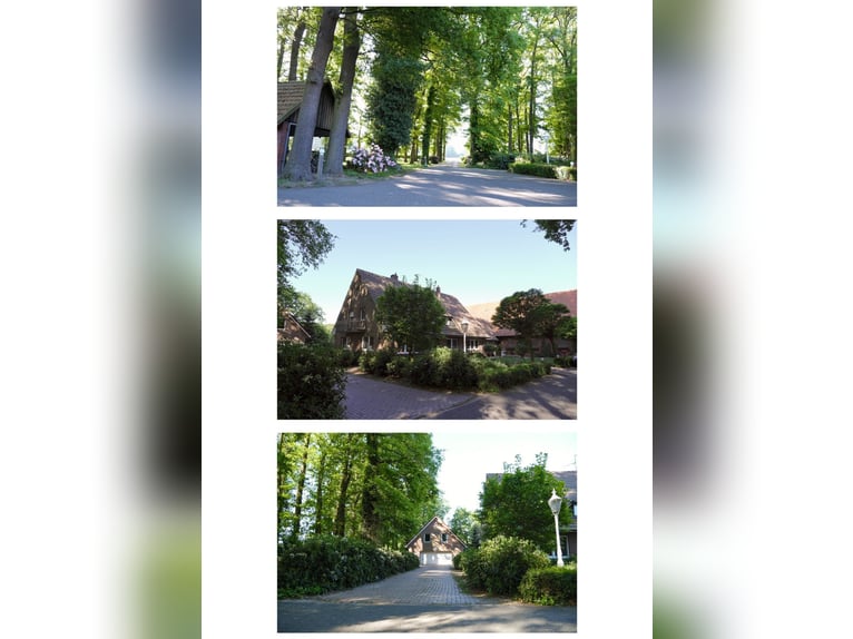 Hofstelle