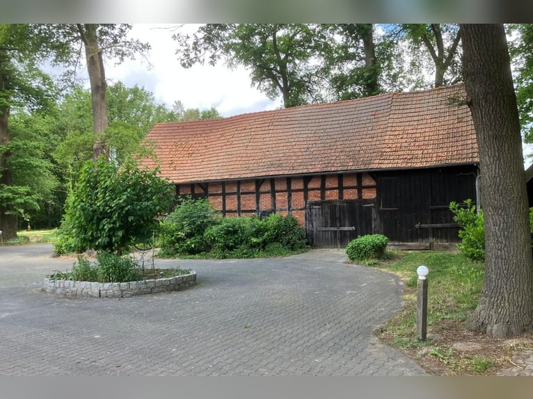 Hofstelle