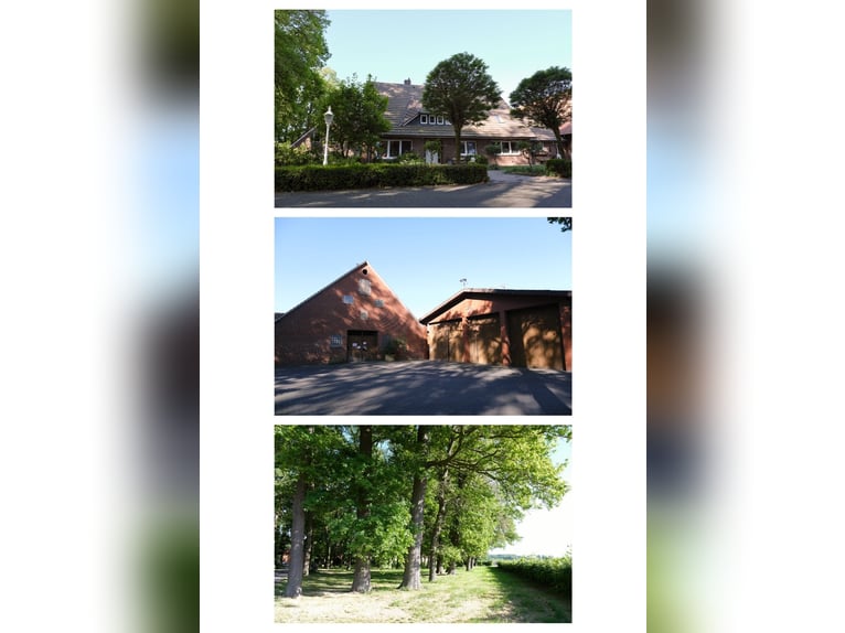 Hofstelle