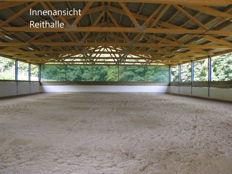 Horse farm with riding facilities, two-family house, commission-free, with current appraisal