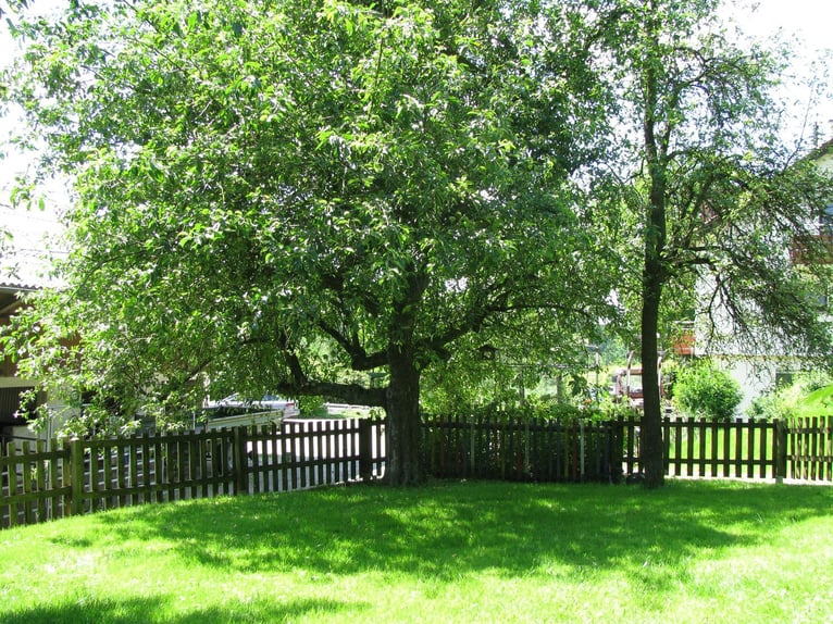 Horse farm with riding facilities, two-family house, commission-free, with current appraisal