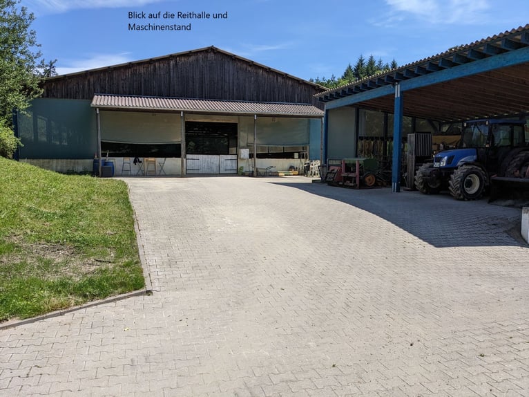 Horse farm with riding facilities, two-family house, commission-free, with current appraisal