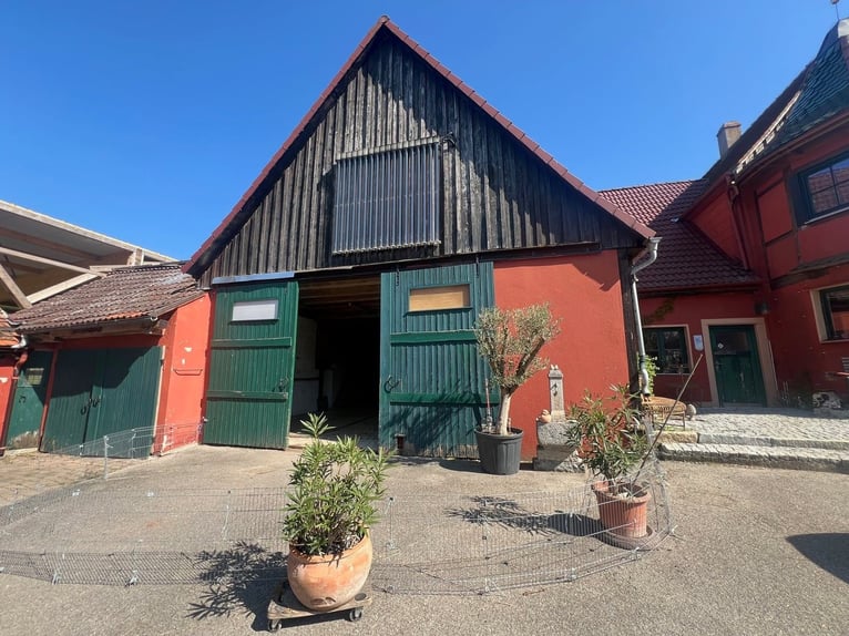 Horse Paradise – Romantic riding farm with indoor riding arena, 6 stables, and residential house