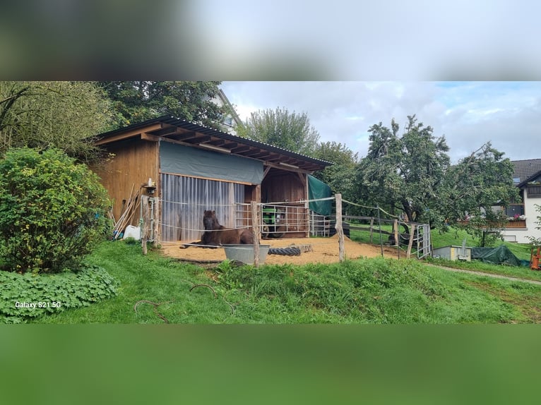 Horse Paradise / Small Farm with 17,400 sqm