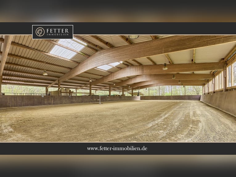 Horse property for sale in Saarland – A stud farm set in picturesque surroundings with a modern ridi