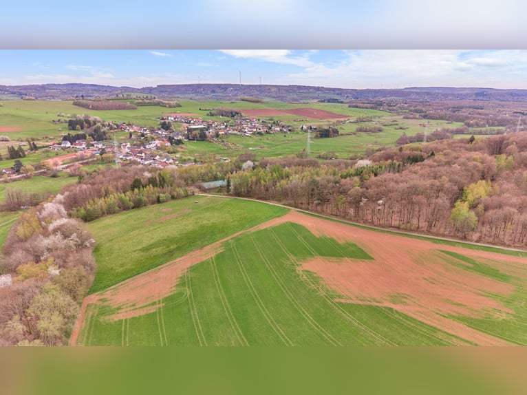 Horse property for sale in Saarland – A stud farm set in picturesque surroundings with a modern ridi
