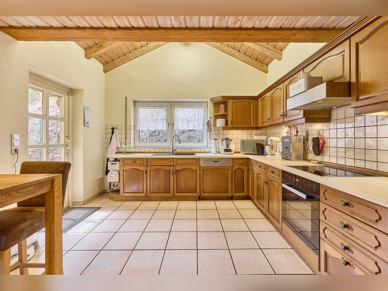 Horse property for sale in Saarland – A stud farm set in picturesque surroundings with a modern ridi