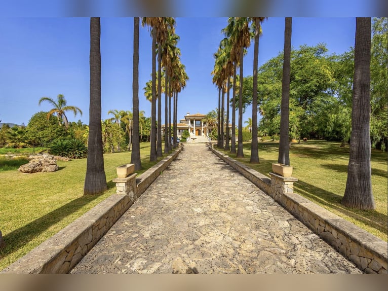 Idylische Finca mit Pool 