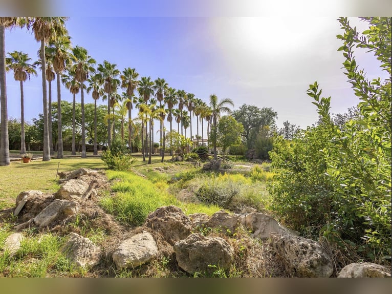 Idylische Finca mit Pool 