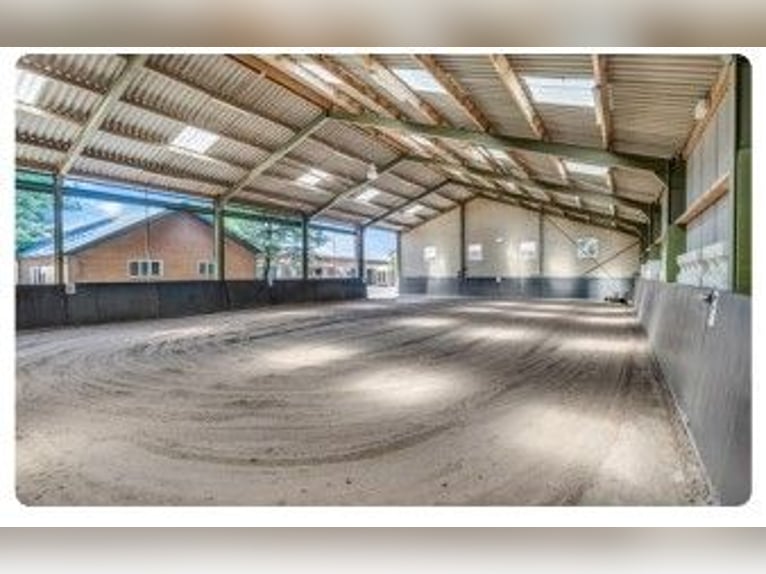 Idyllic horse farm in Kootwijkerbroek, Veluwe, for sale