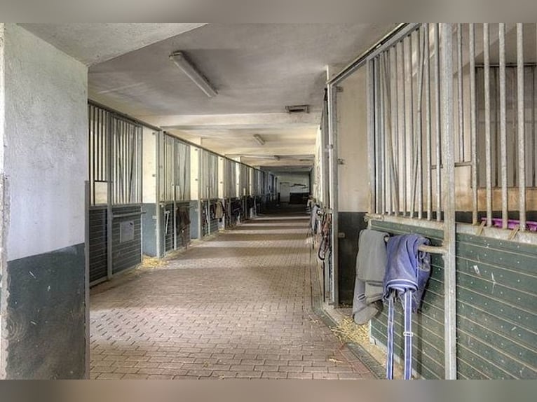 Idyllicly located riding facility / horse boarding stable for lease in 18276 Hägerfelde