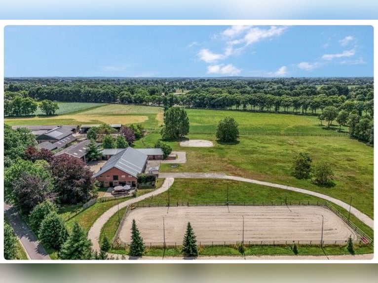 Idyllische paardenboerderij Kootwijkerbroek Veluwe te koop