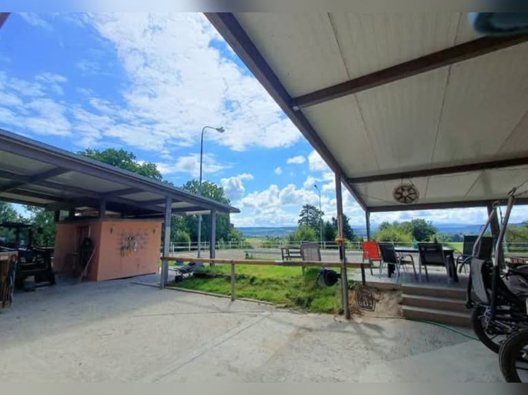 Idyllische Pferdesportanlage zu vermieten