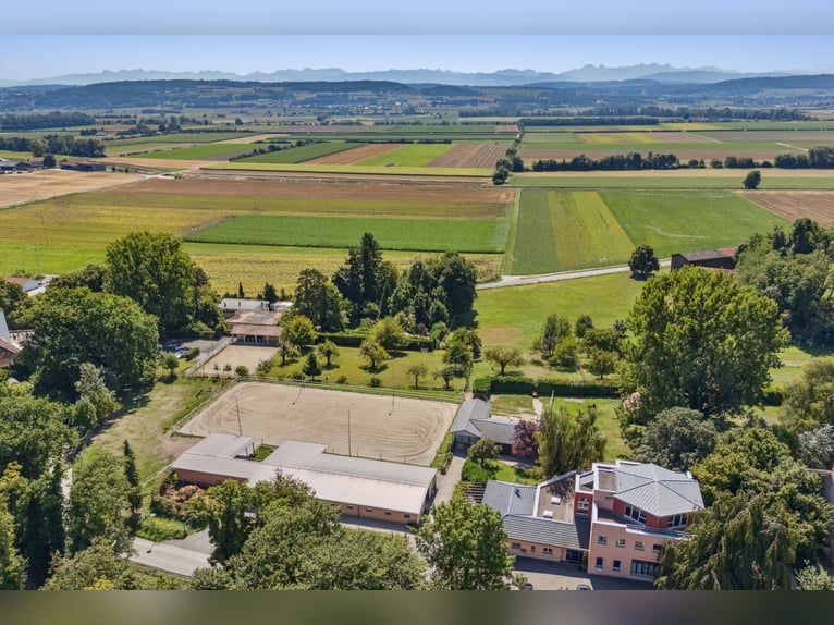 Idyllische Pferdesportanlage zu vermieten