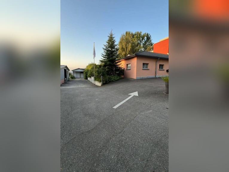 Idyllische Pferdesportanlage zu vermieten