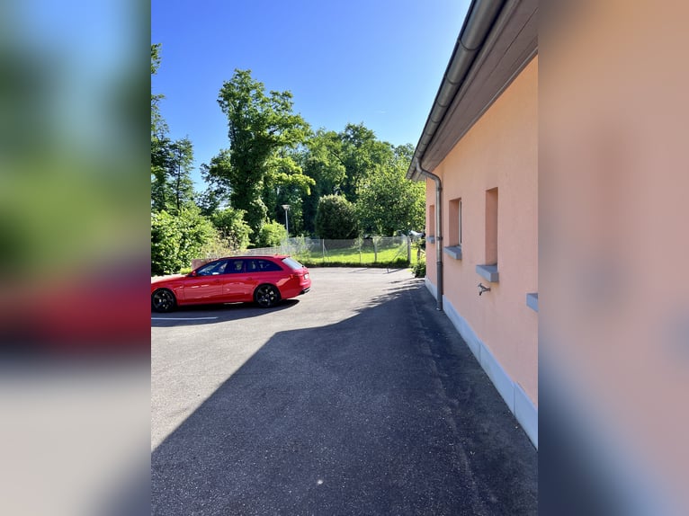 Idyllische Pferdesportanlage zu vermieten