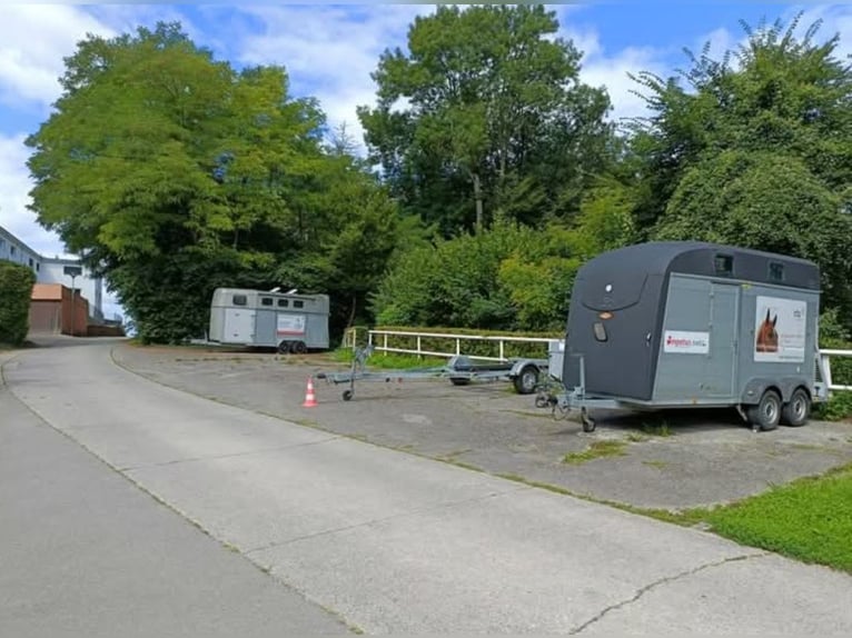 Idyllische Pferdesportanlage zu vermieten
