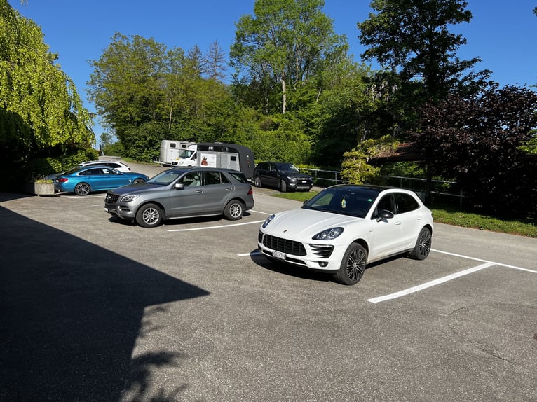 Idyllische Pferdesportanlage zu vermieten