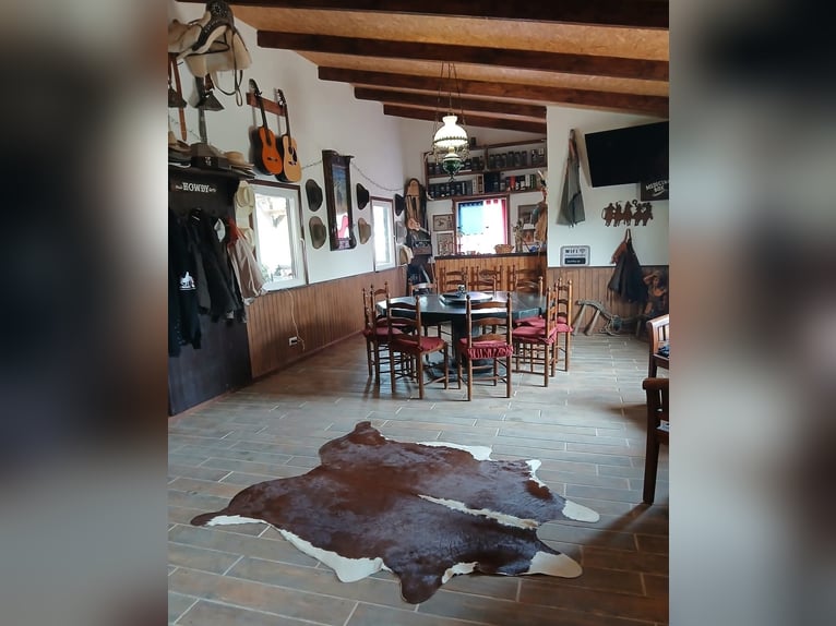 IDYLLISCHE WESTERNRANCH MIT TOURISMUS LIZENS AN DER COSTA BLANCA