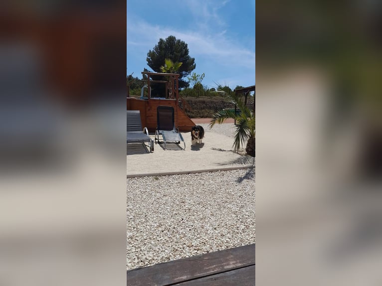 IDYLLISCHE WESTERNRANCH MIT TOURISMUS LIZENS AN DER COSTA BLANCA