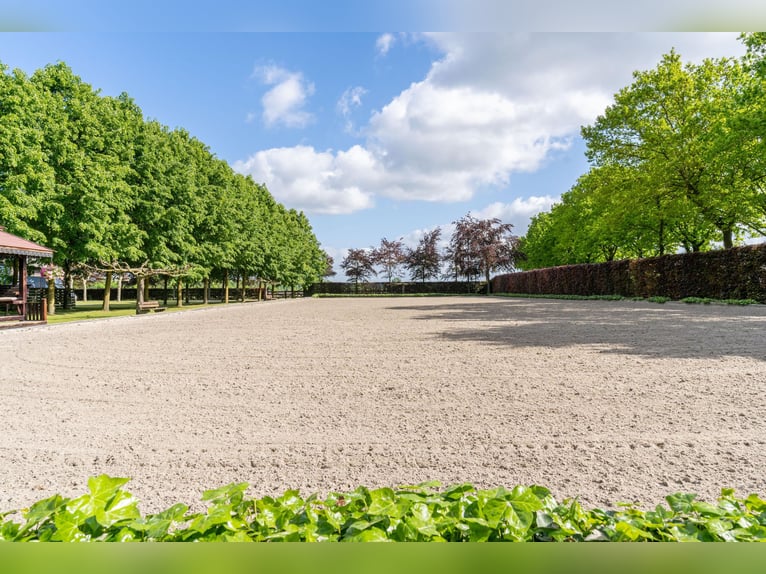Kapelstraat 12 - 14 Leende Beautiful, complete equestrian accommodation 