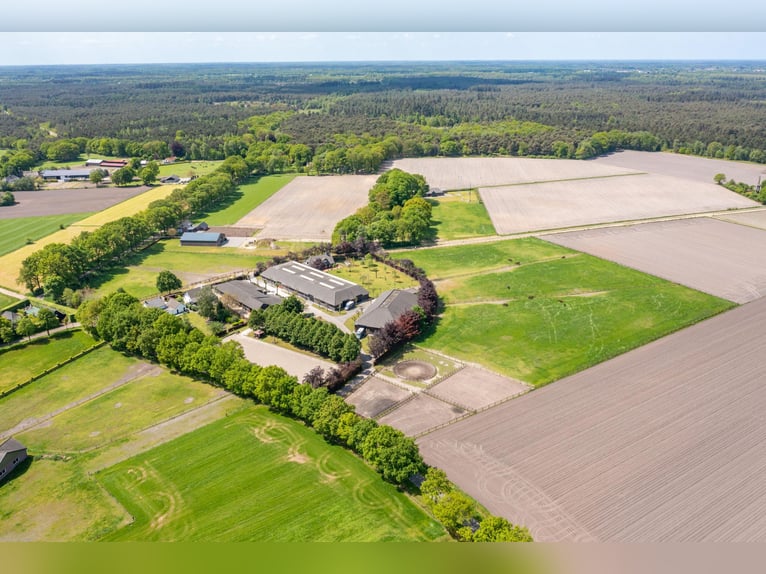 Kapelstraat 12 - 14 Leende Beautiful, complete equestrian accommodation 