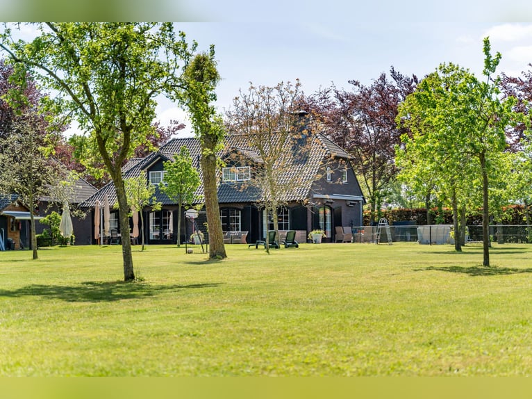 Kapelstraat 12-14, Leende  
Beautiful, fully equipped equestrian property