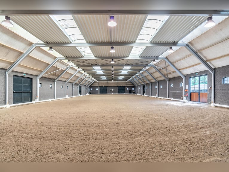 Kapelstraat 12-14, Leende  
Beautiful, fully equipped equestrian property