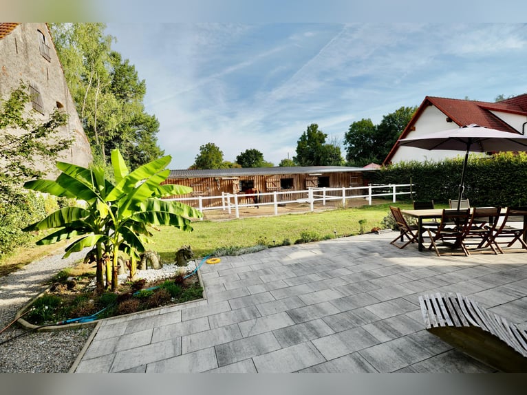 kleine Reitanlage mit laufendem Betrieb sucht neuen Inhaber