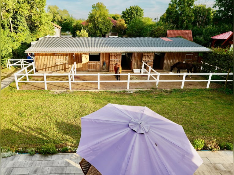 kleine Reitanlage mit laufendem Betrieb sucht neuen Inhaber