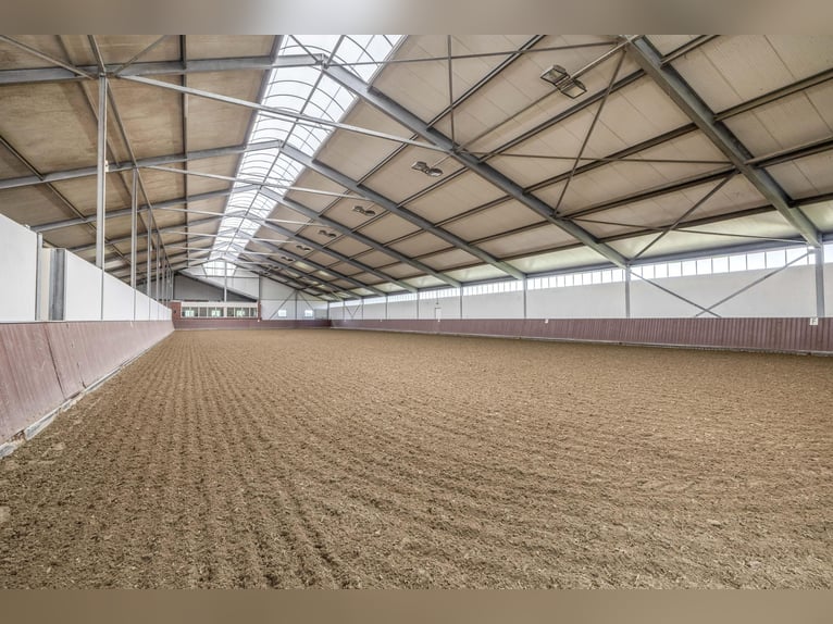 Kompakte Reitanlage mit unverbauten Blick auf die Landschaft!