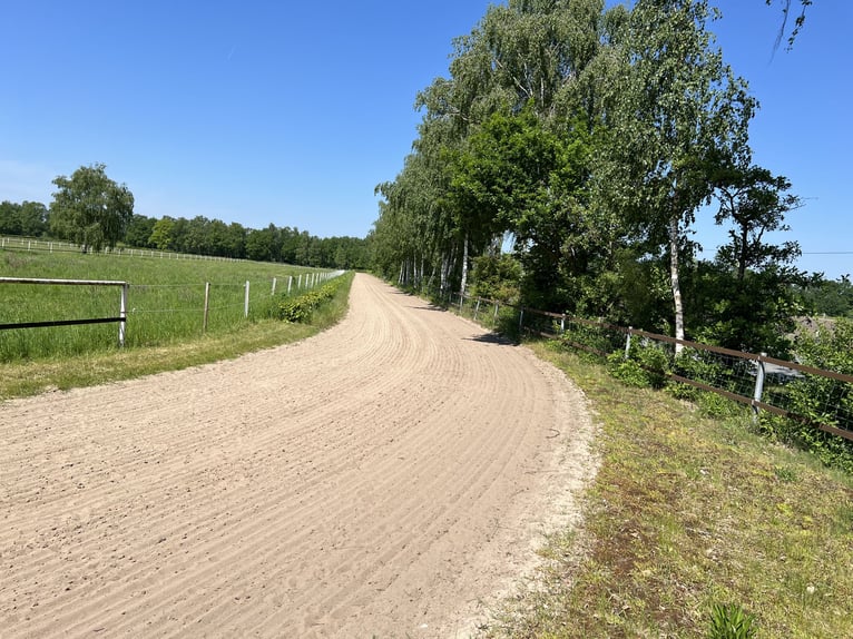 Kompakte Reitsportanlage im Herzen von Ostwestfalen-Lippe