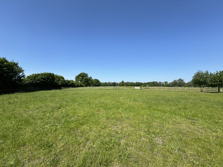 Kompakte Reitsportanlage im Herzen von Ostwestfalen-Lippe