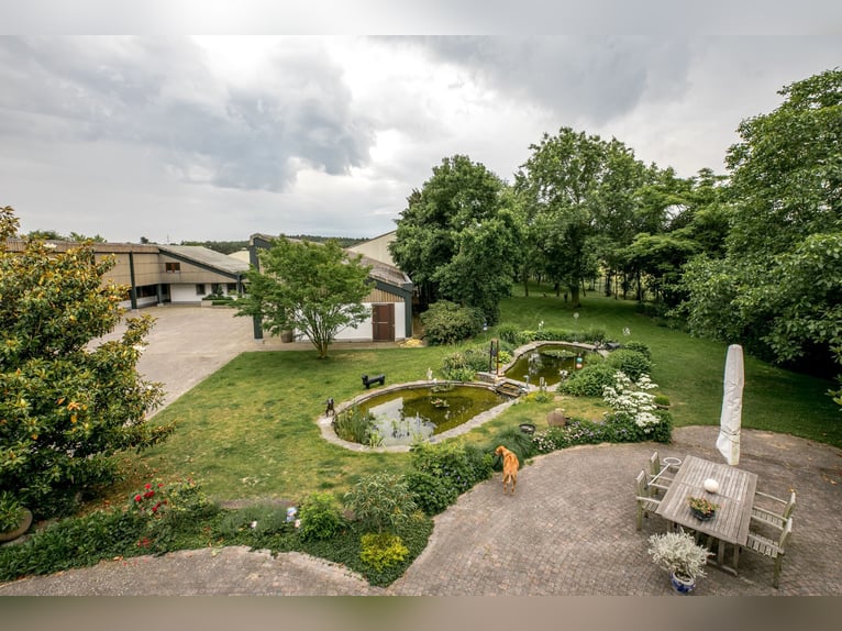 Komplette Reitanlage mit Landhaus nähe Deutsche Grenze in NL.