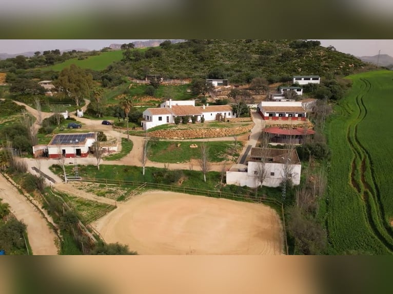 Livestock Farm for Sale