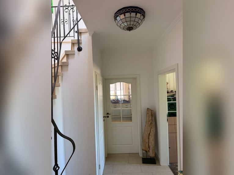 Living with a horse in a beautiful single-family house with 6,000 sqm of pasture and a small 150 sqm