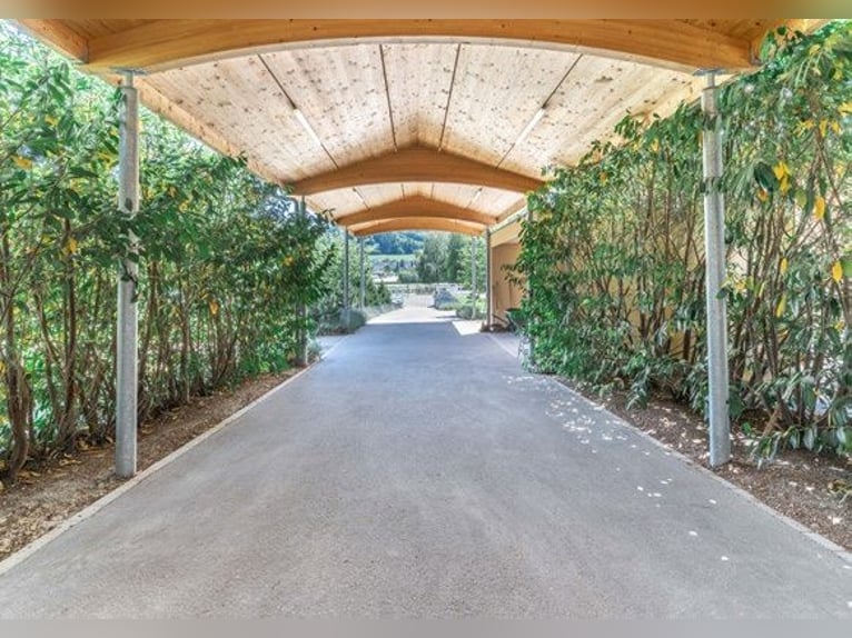 **Luxuriöses Pferdeanwesen in bester Lage** - Schweiz