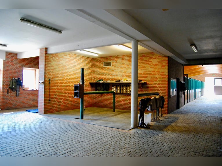 Luxurious equestrian estate with ample living space and comfort