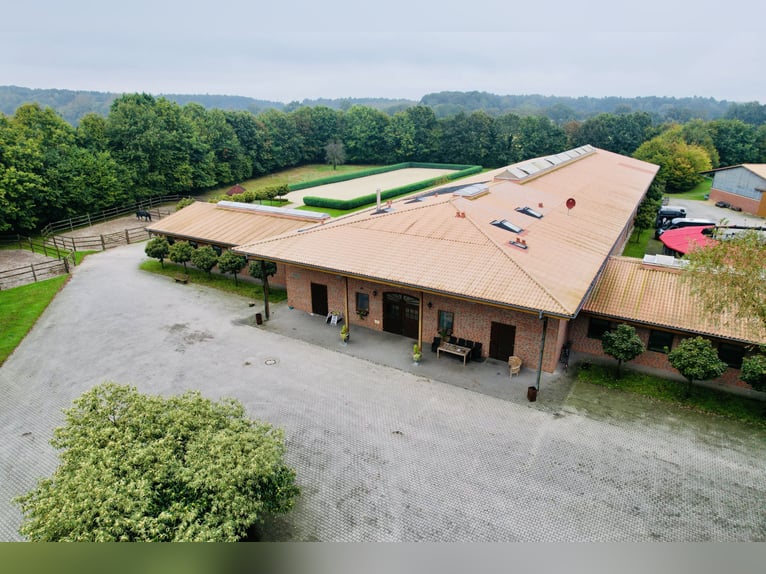 Luxurious equestrian estate with ample living space and comfort