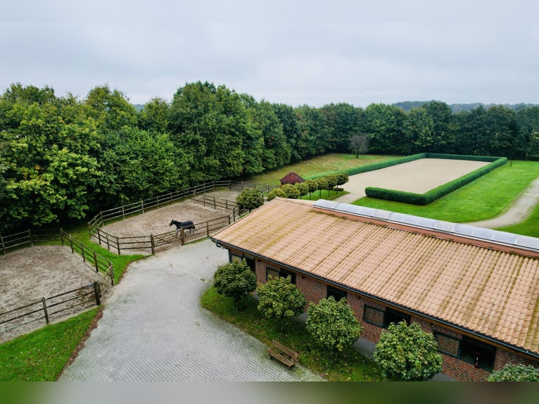 Luxurious equestrian estate with ample living space and comfort